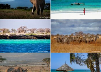Ultimate bush and beach combo safari - Africa Geographic