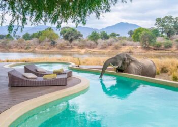 Best luxury African safari lodges for families - The Points Guy
