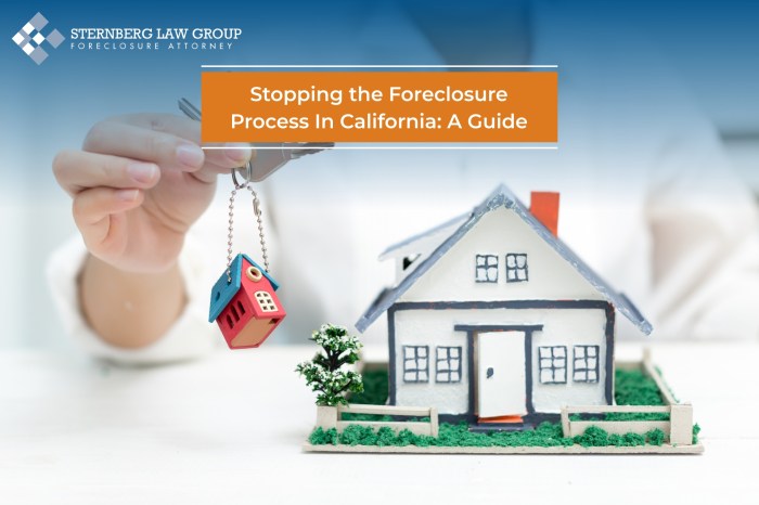 Stopping the Foreclosure Process In California: A Guide for Homeowners